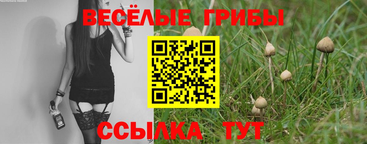 Галлюциногенные грибы Magic Shrooms Рыбинск